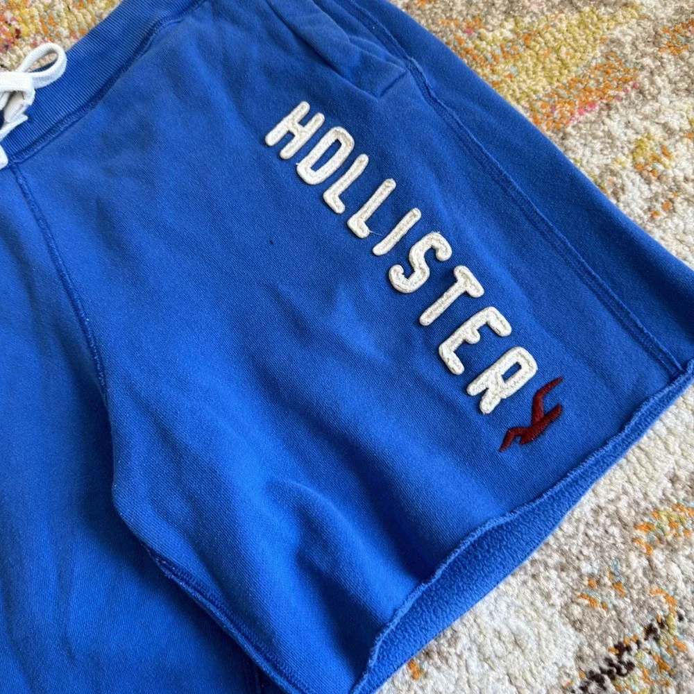 Vintage Y2K 2000s Hollister Fleece Cut-Off Sweat Shorts L